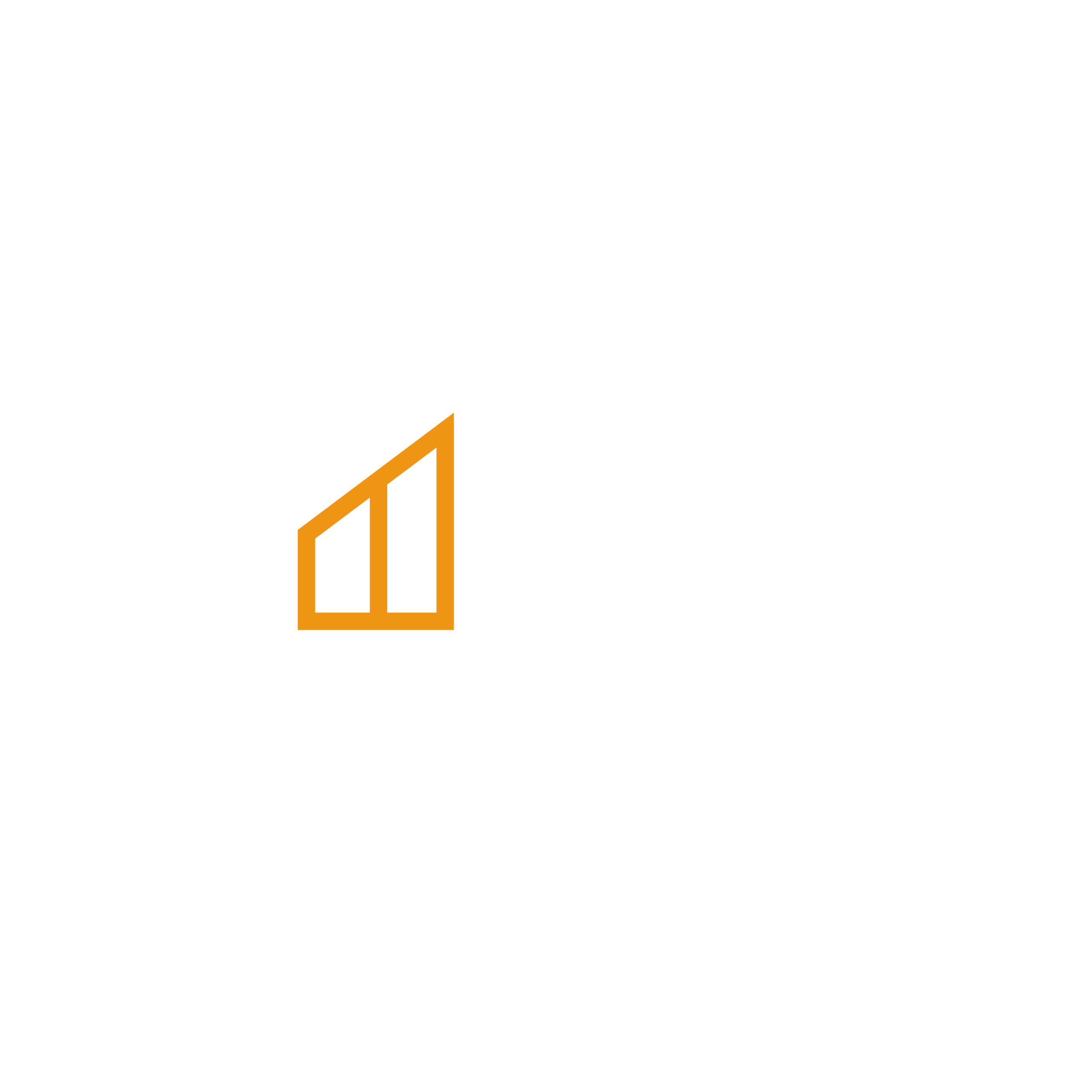 edp logo blanc horizontal